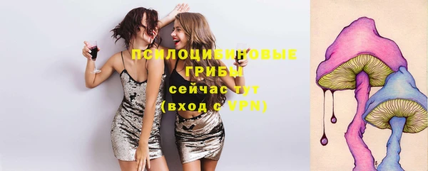 МДПВ Сатка