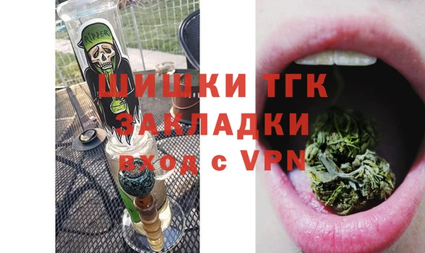 шишки Семикаракорск