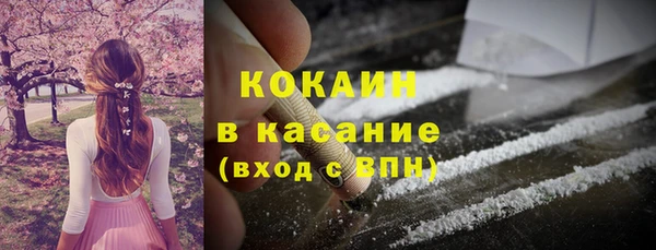 шишки Семикаракорск