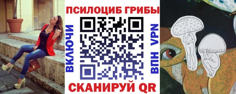 где найти наркотики  Тольятти  мориарти Telegram  Псилоцибиновые грибы GOLDEN TEACHER 