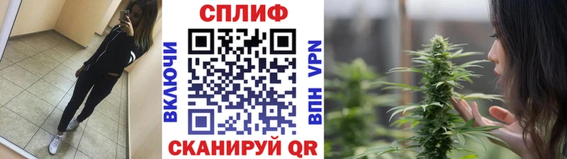 продажа наркотиков  МЕГА как войти  Бошки Шишки LSD WEED  Тольятти 